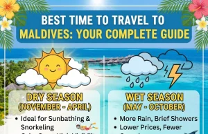 Best Time to Travel to Maldives: Your Complete Guide Best Time to Travel to Maldives