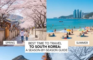Best Time to Travel to South Korea: A Season-by-Season Guide Best Time to Travel to South Korea